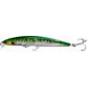 Green Mackerel