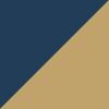 Blue/Gold
