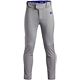 Gray/Royal