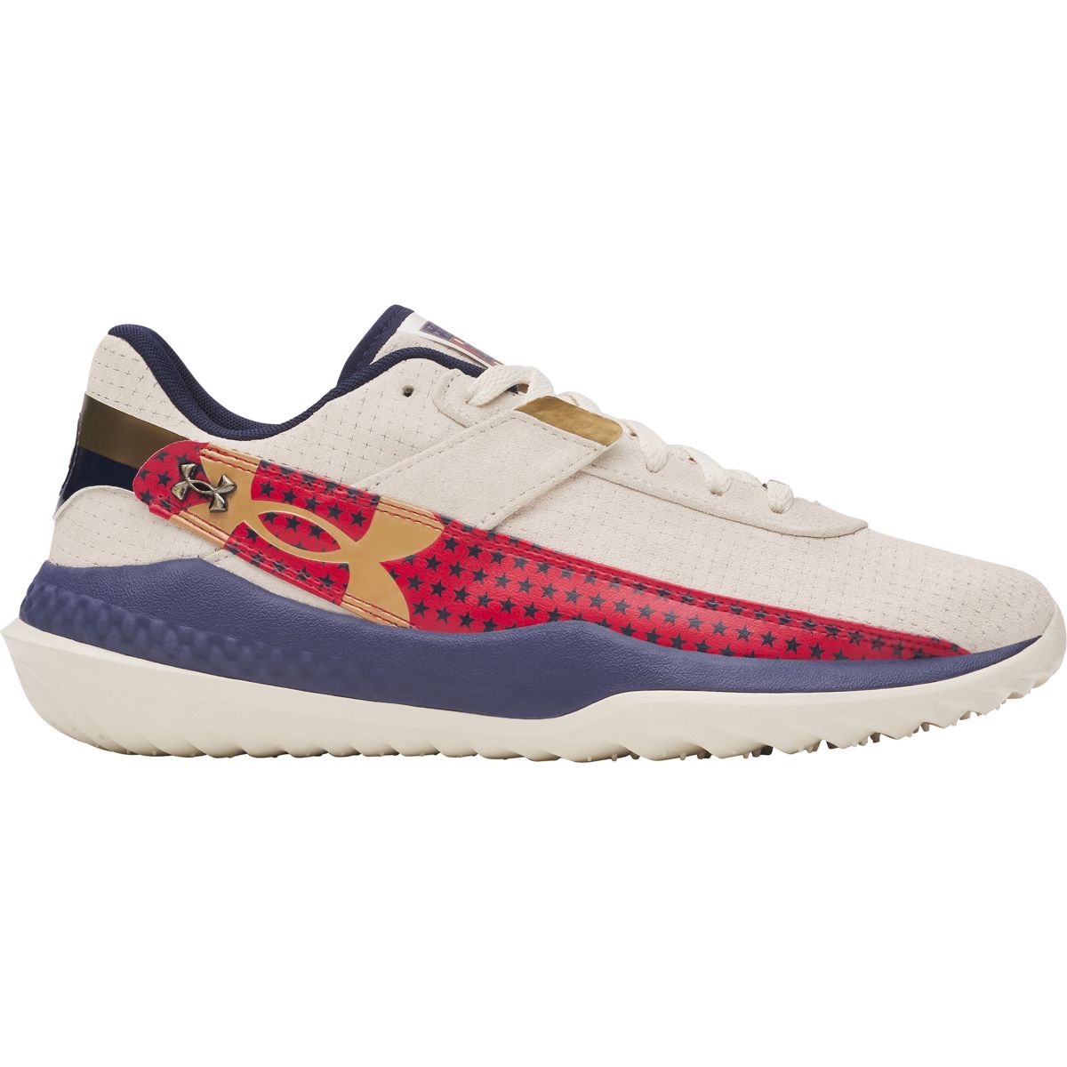 Under Armour Harper 10 Pro LE Turf Baseball Shoes