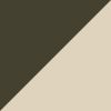 Sandshell/Forest Night