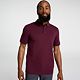 Burgundy Plum