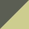 Boreal