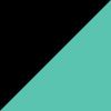Black/Seafoam