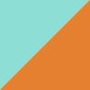 Seafoam/Orange Tan