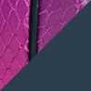 Purple/Flamingo