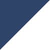 Navy/White