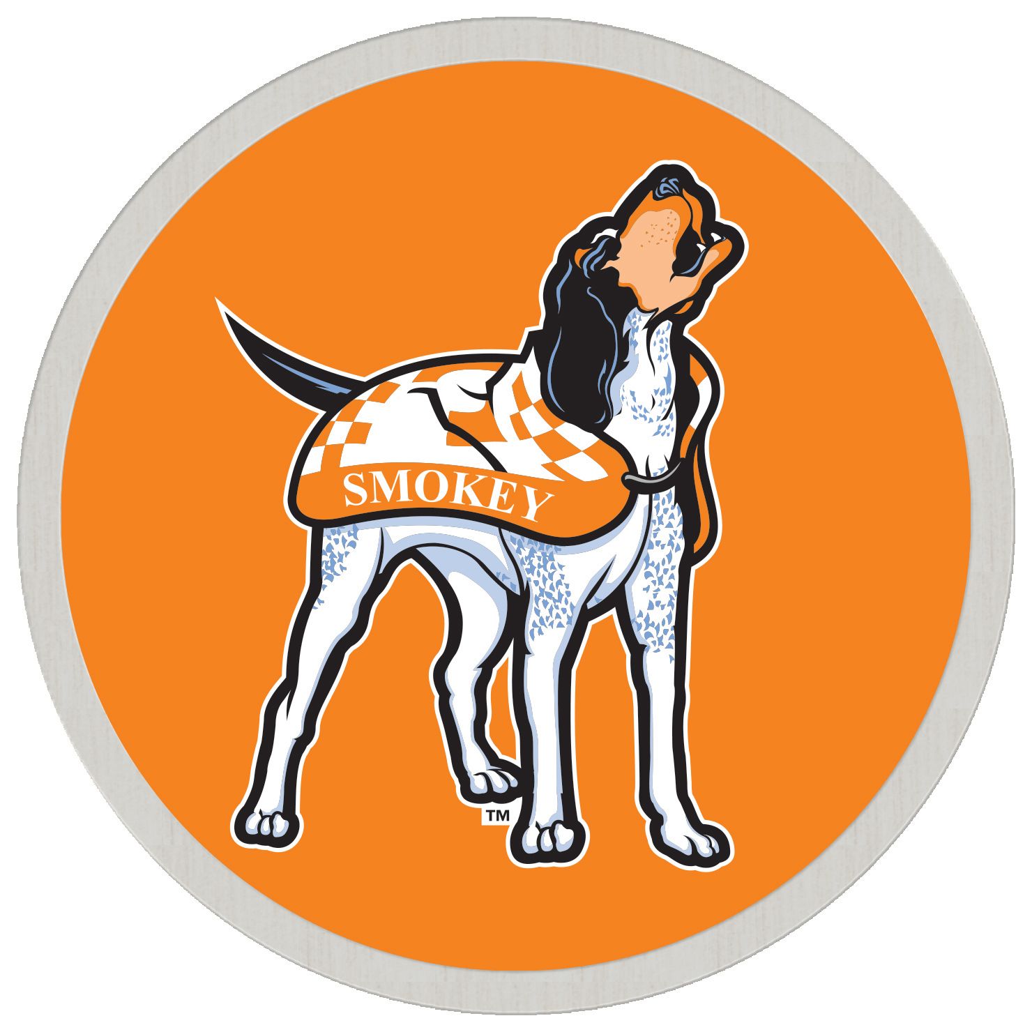WinCraft Tennessee Volunteers Collector Pin