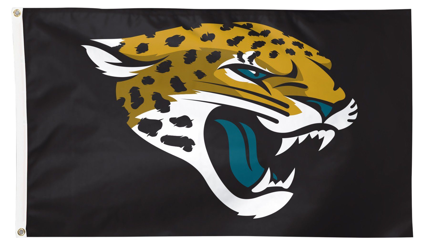 Tailgating Accessories