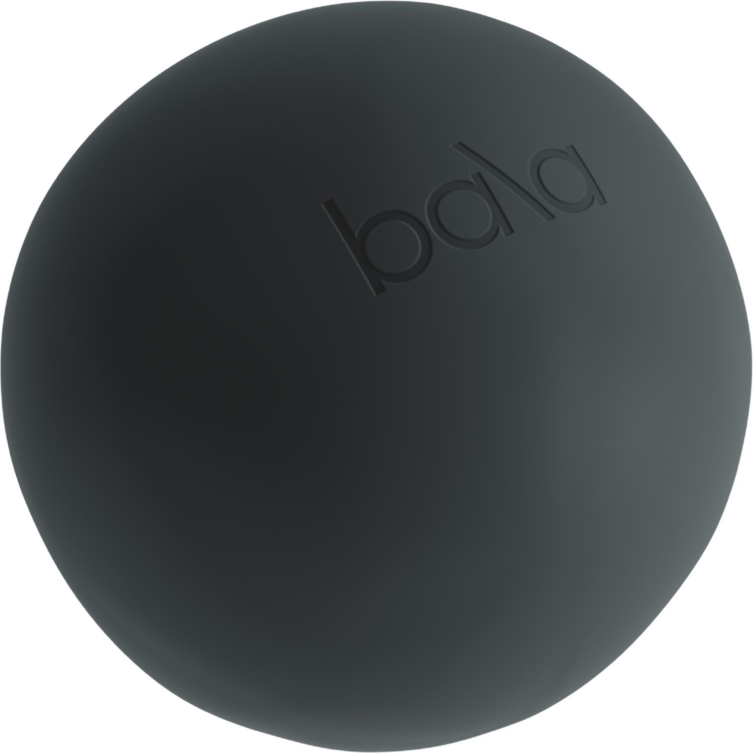 Bala Pilates Ball
