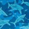Blue Shark Camo