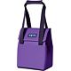 Pace Purple/Blue