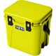 Firefly Yellow