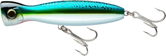 Green Mackerel