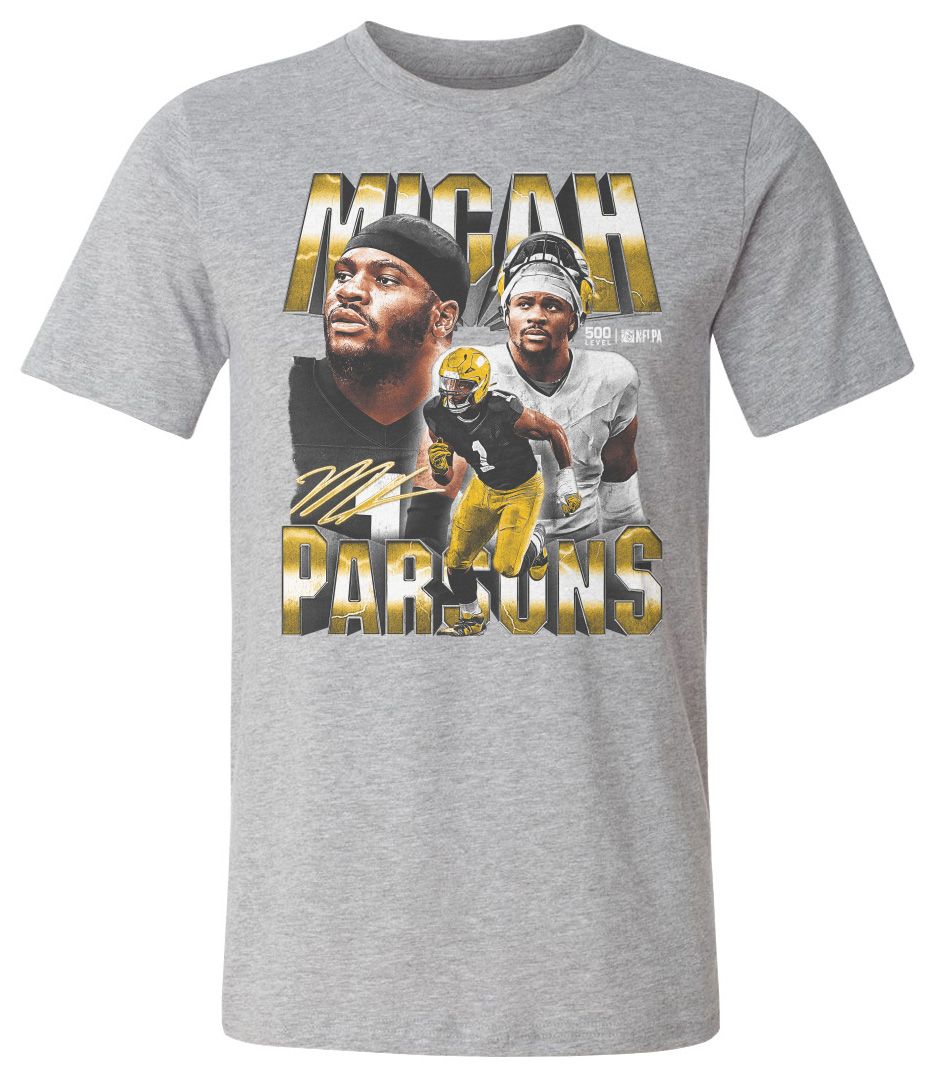 500 LEVEL Men's Green Bay Packers Heather Gray Vintage Heavyweight T-Shirt