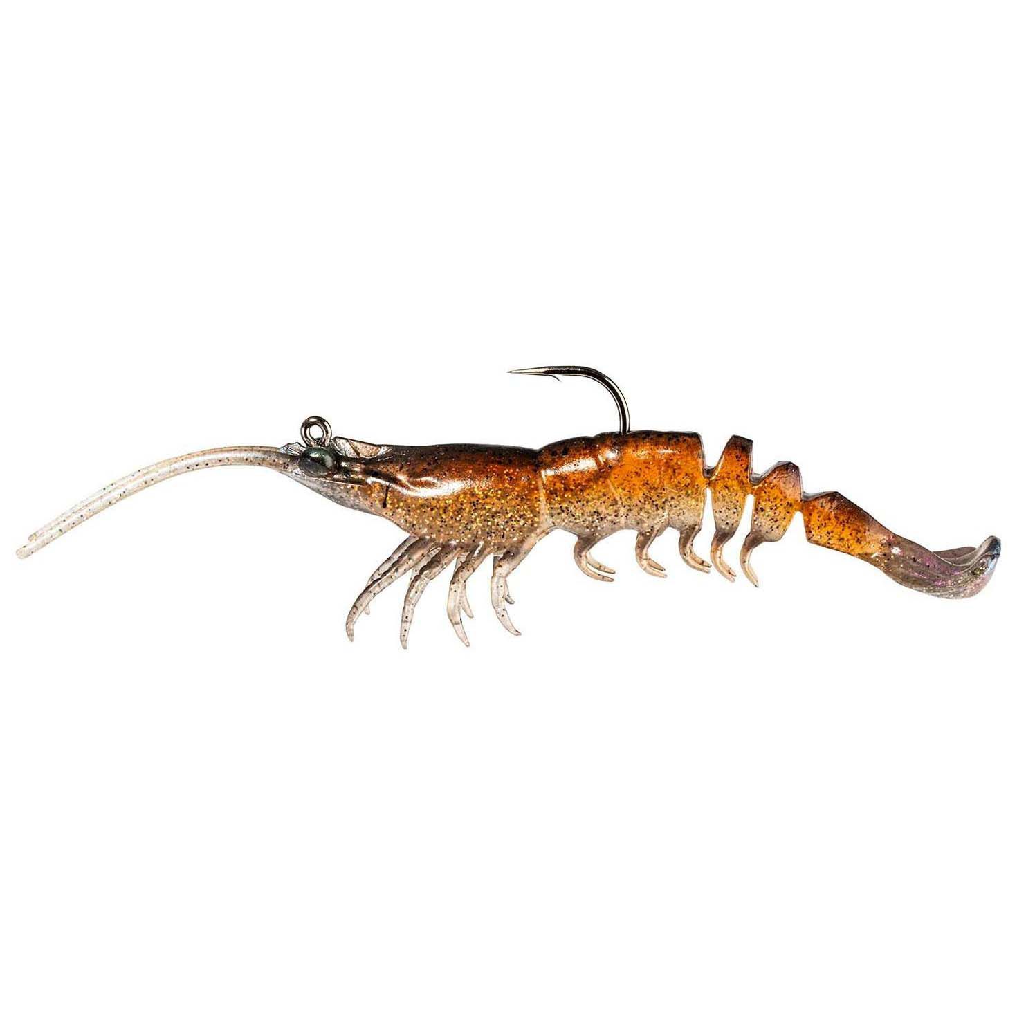 Brown Shrimp