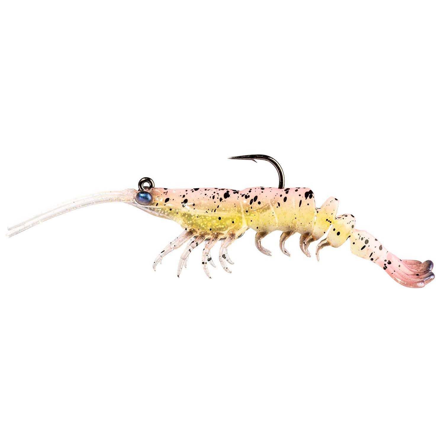 Laguna Shrimp
