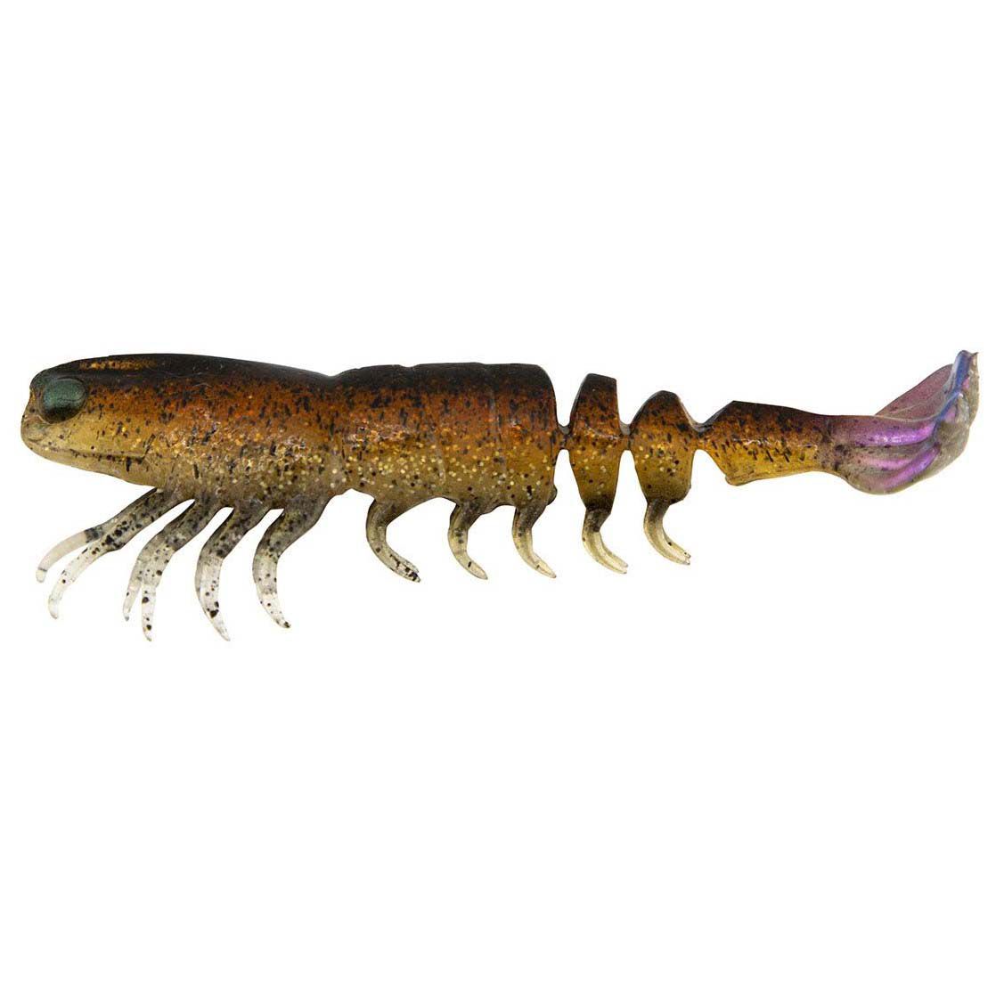Brown Shrimp