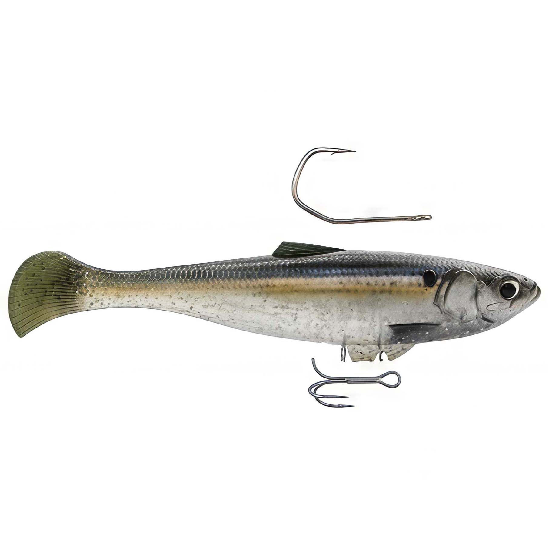 Threadfin Shad
