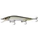 Ghost Threadfin Shad