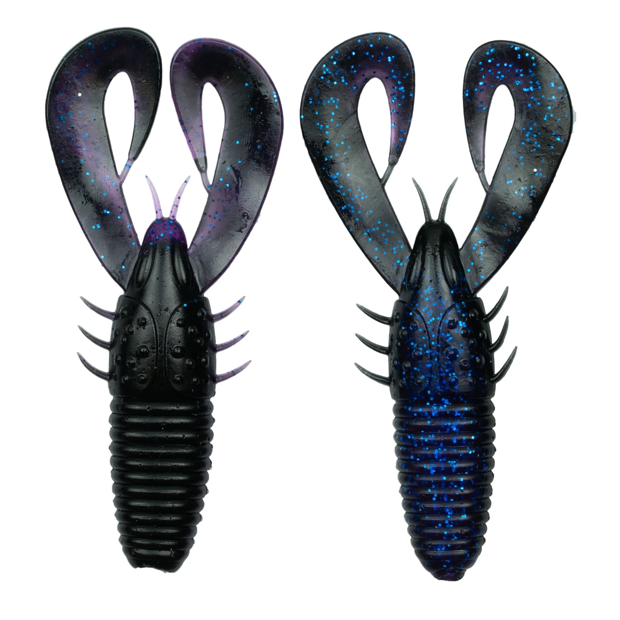 Darkwater Bug