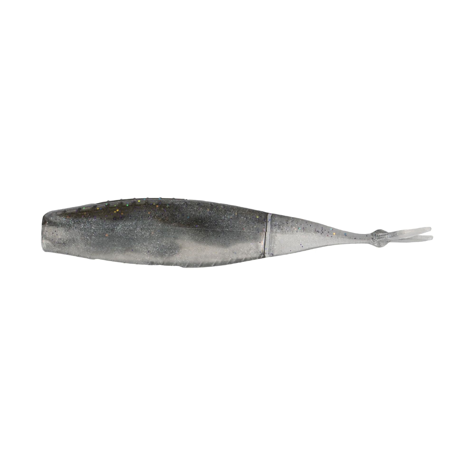 Gizzard Shad