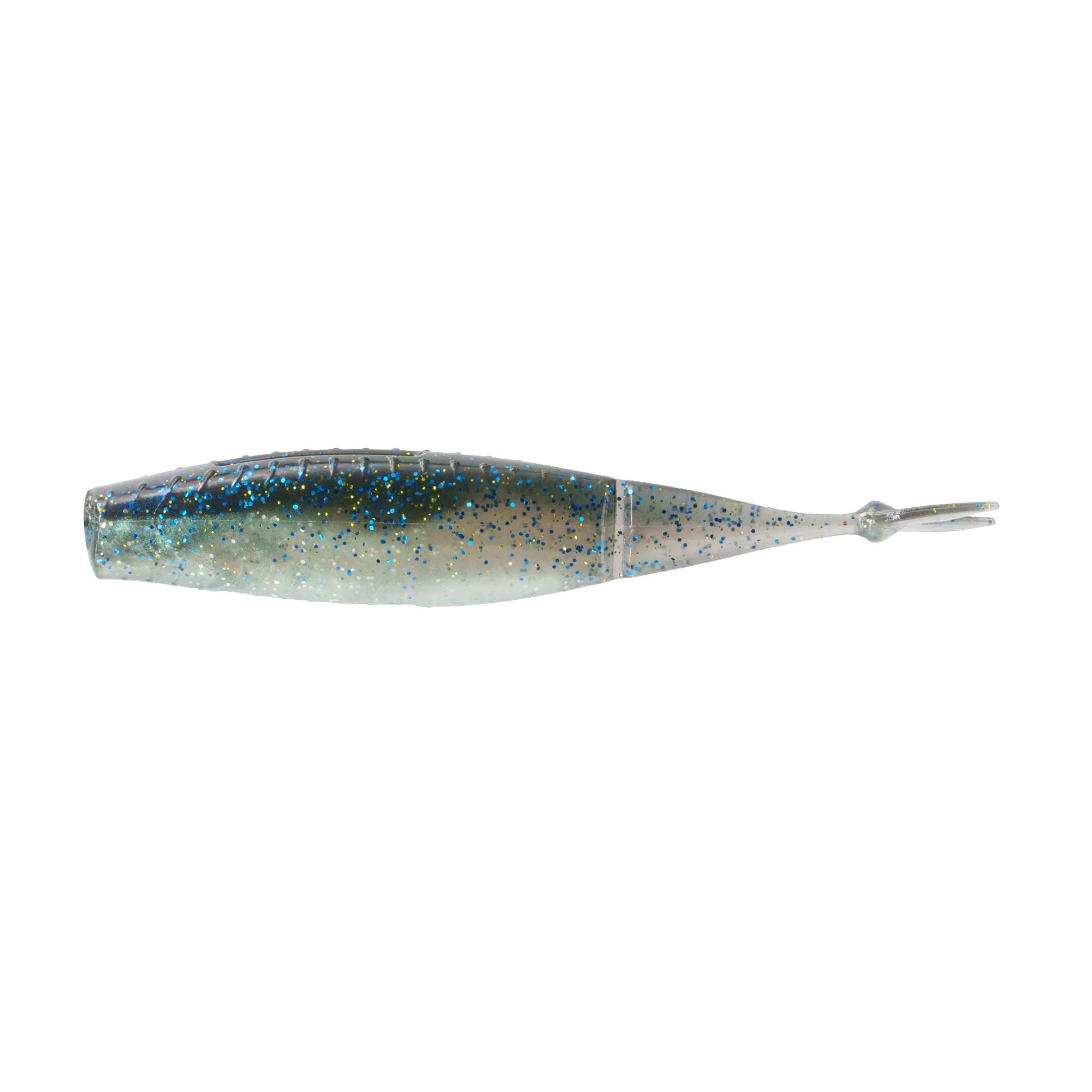 Threadfin Shad