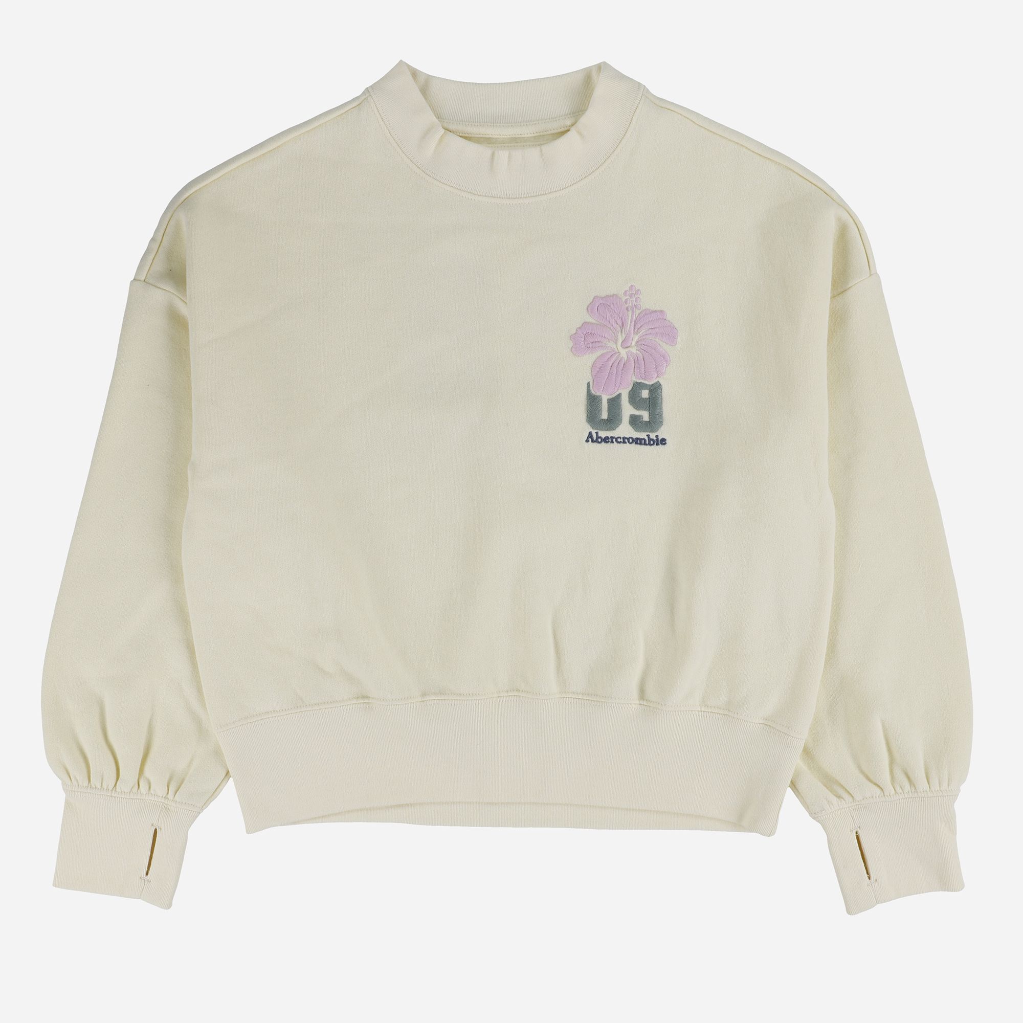 abercrombie kids fashion fleece crew