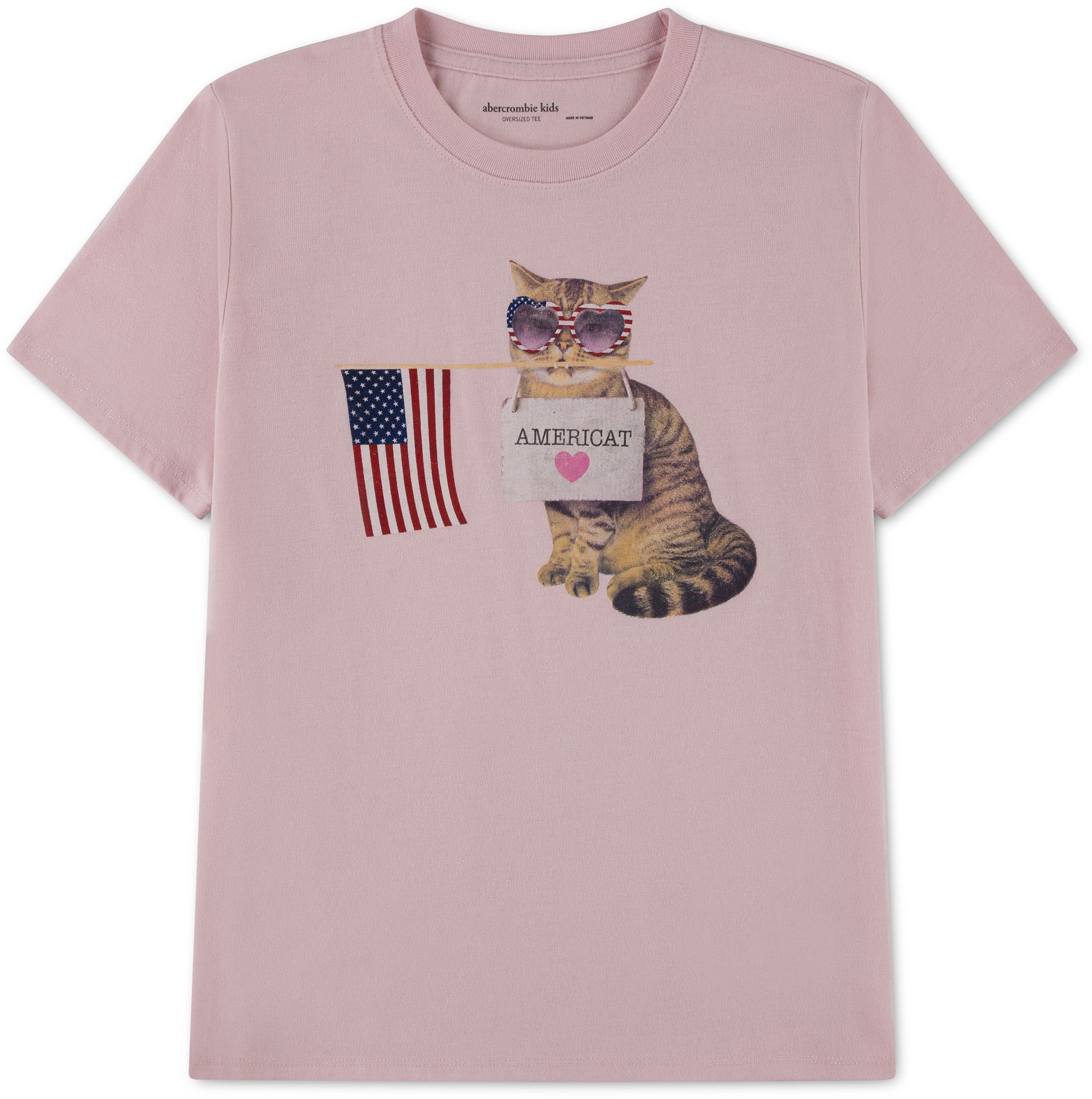 abercrombie kids americat oversized tee
