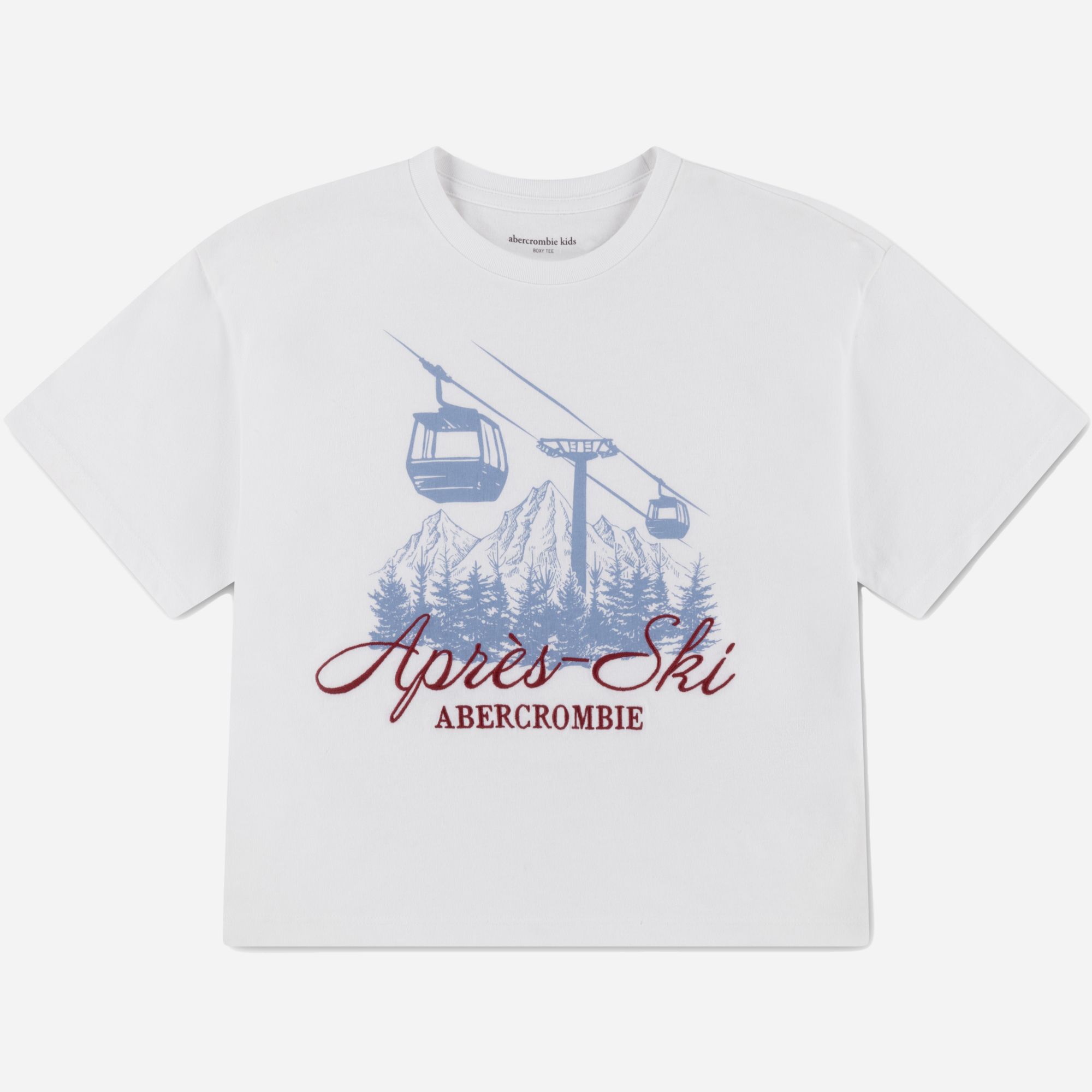 abercrombie kids apres ski boxy graphic tee
