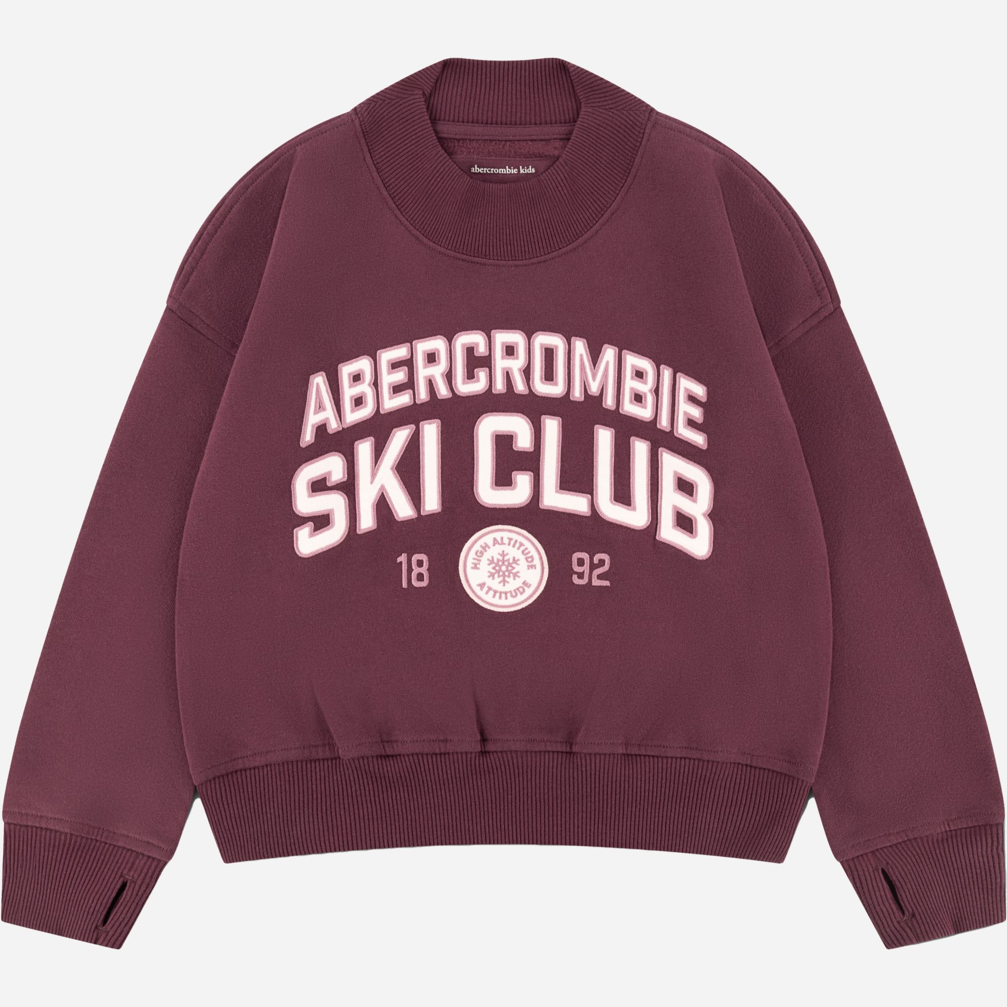 abercrombie kids ski club graphic crew