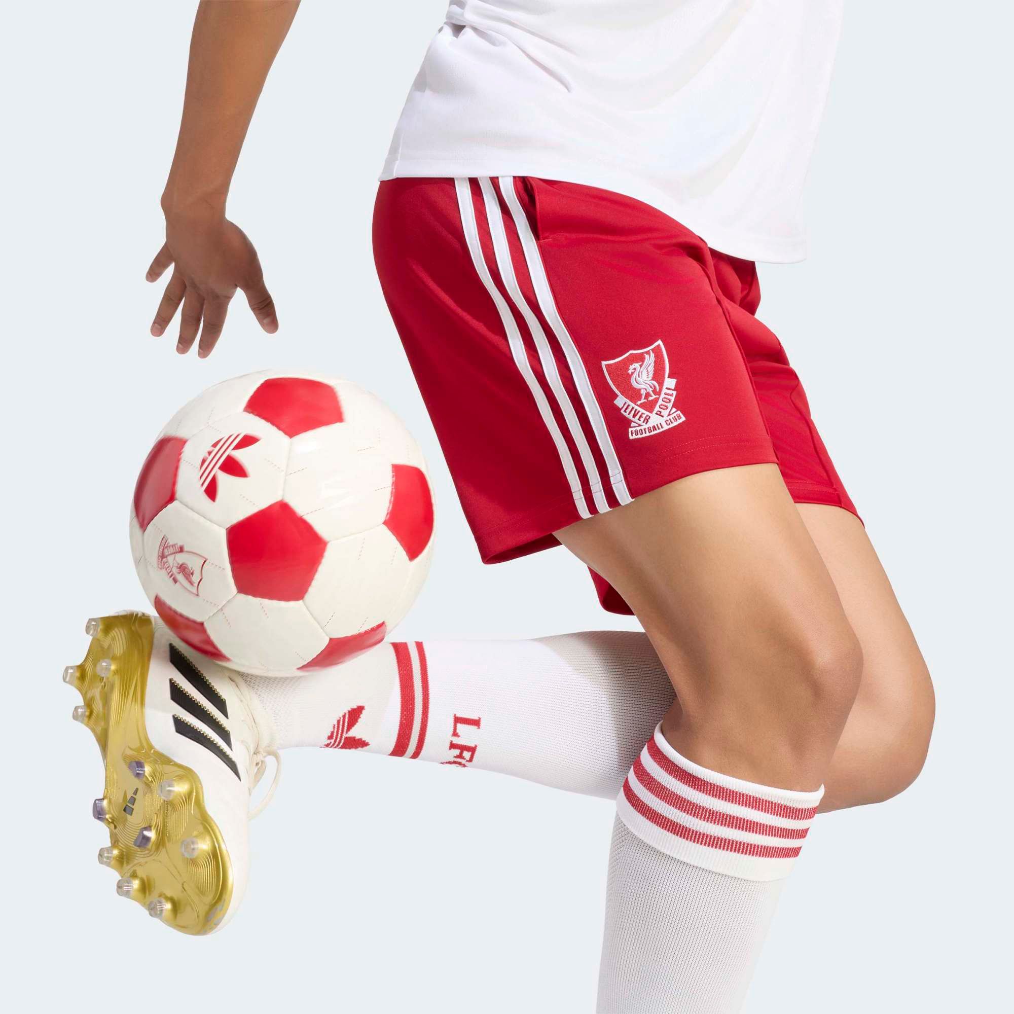 adidas Adult Liverpool FC Away Replica Shorts