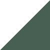 White/Collegiate Green/Gold Mt