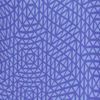 Dual Indigo