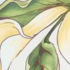 Floral/Ecru