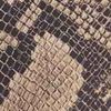 Snake Print/Beige