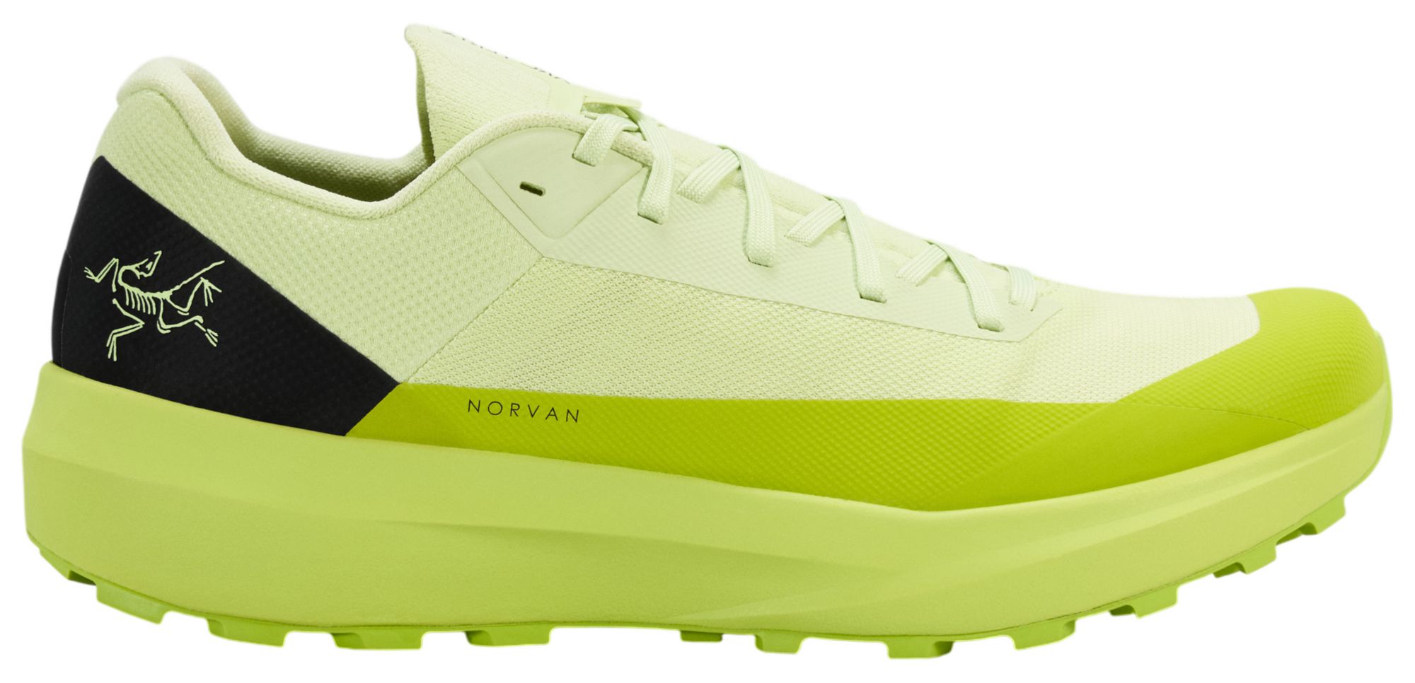 Arcteryx Men's Norvan LD4 Low Hiking Shoes