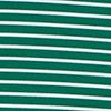 Club Green/White