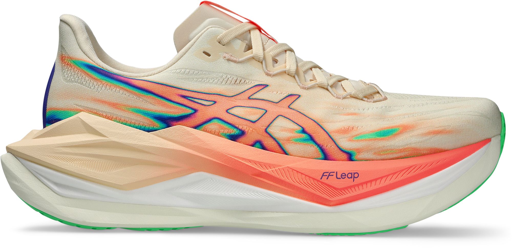 Seashell/Sun Coral