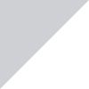 Gray/Silver
