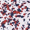 Paint Splatter