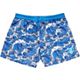 Blue/White
