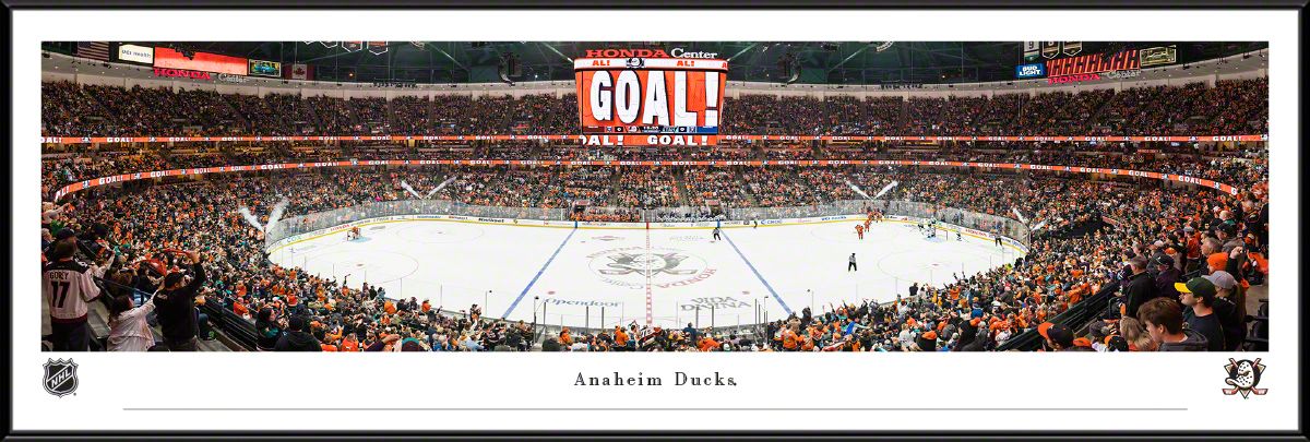 Blakeway Panoramas Anaheim Ducks Framed Panoramic Wall Art - Standard Frame