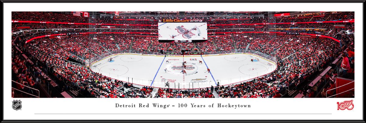 Blakeway Panoramas Detroit Red Wings Framed Panoramic Wall Art - Standard Frame