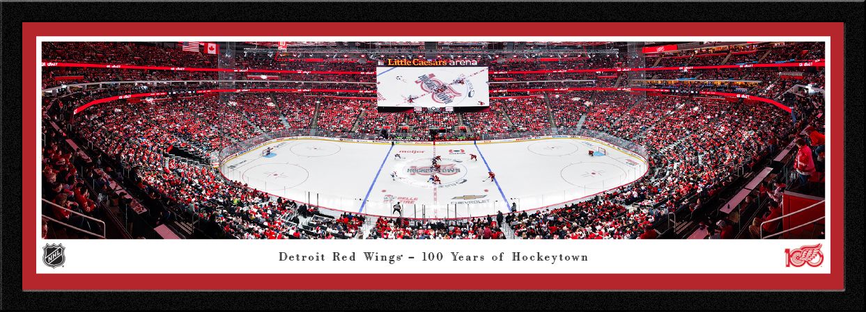 Blakeway Panoramas Detroit Red Wings Single Mat Panoramic Wall Art Select Frame