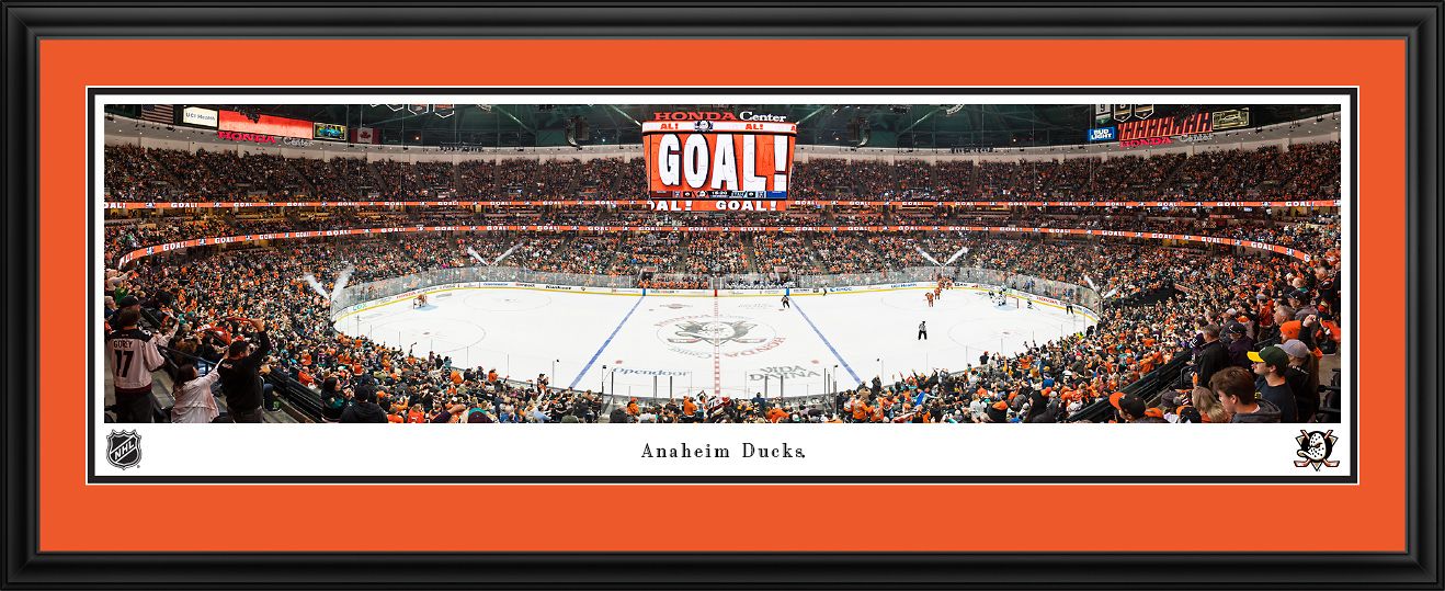 Blakeway Panoramas Anaheim Ducks Double Mat Panoramic Wall Art Deluxe Frame