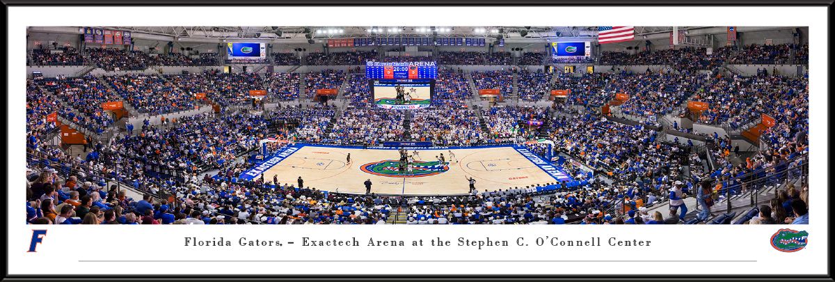 Blakeway Panoramas Florida Basketball Panoramic Wall Art Standard Frame