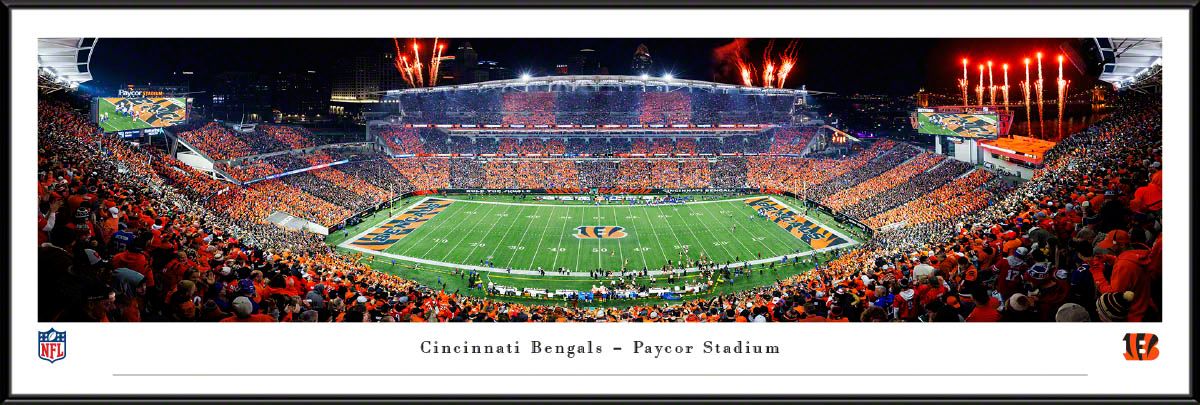 Blakeway Panoramas Cincinnati Bengals Framed Panoramic Wall Art - Standard Frame