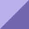 Purple/Fuscia