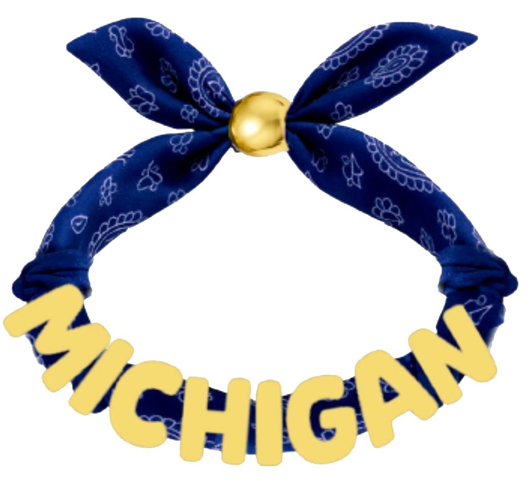 Canvas Style Women's Michigan Wolverines Bandana Slider Bracelet